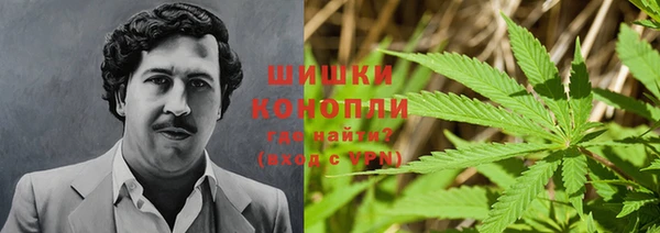 амф Липки