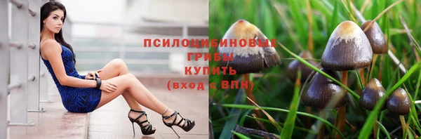 стафф Лихославль