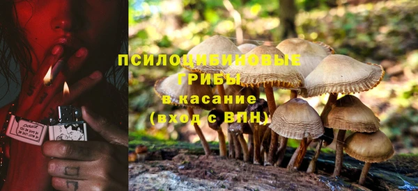 jwh Лиски